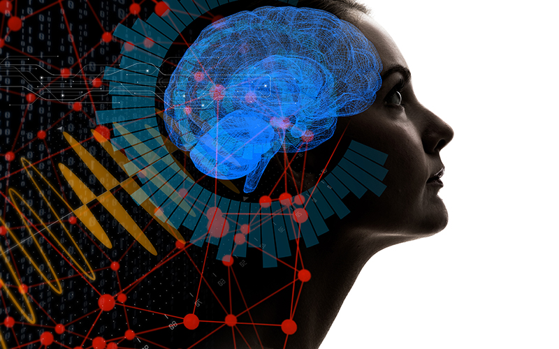 EEG Findings During Flow State