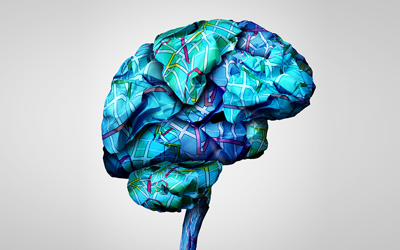 What Does the Brain Mapping Tell the Psychiatrist in Daily Practice?